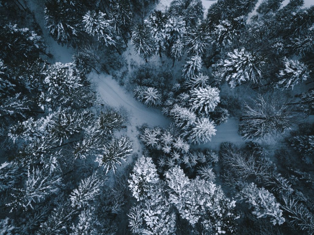 december photo