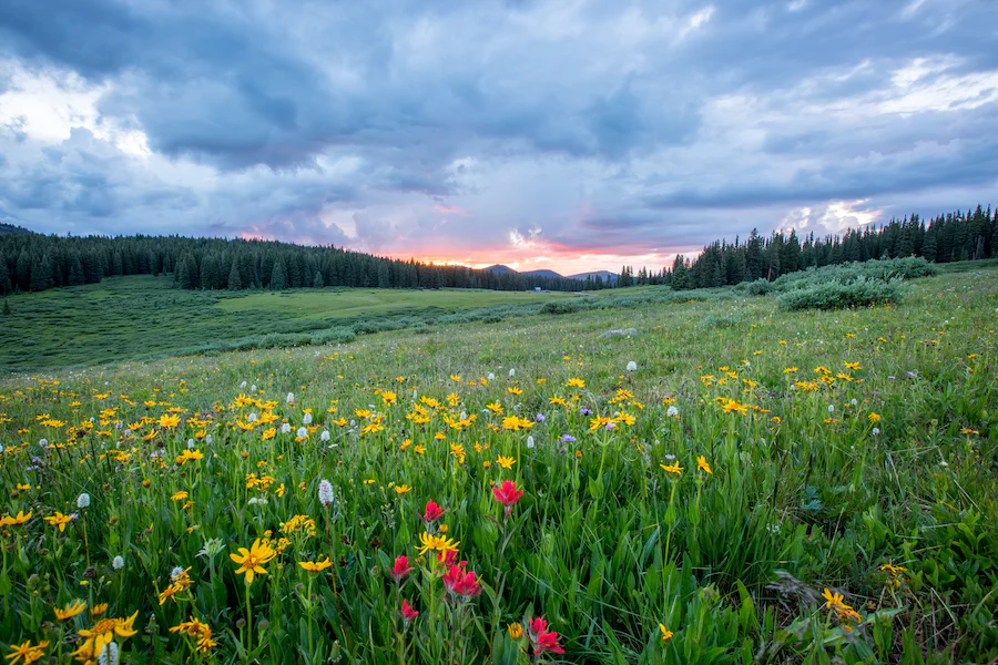 sejal Ghanate the lazy gal spring 2023 reset; 5 powerful areas that you need to change